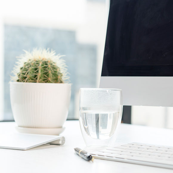 A cactus, computer and water signalling business health, a specialism of Insure 313 insurance brokers.